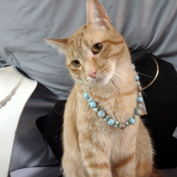 YOU could looks this fabulous too! - Picture 2 of 12